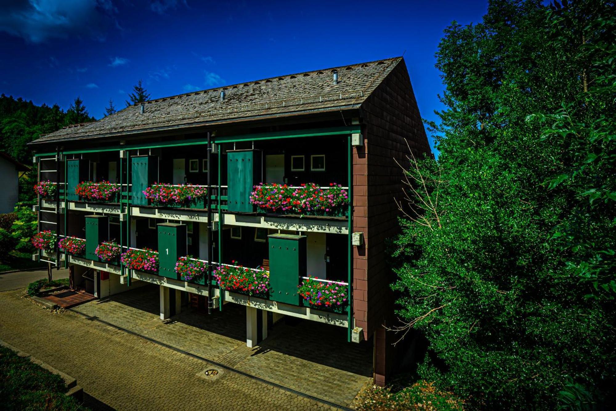 Natur Tanken Im Schwarzwald Sasbachwalden Luaran gambar