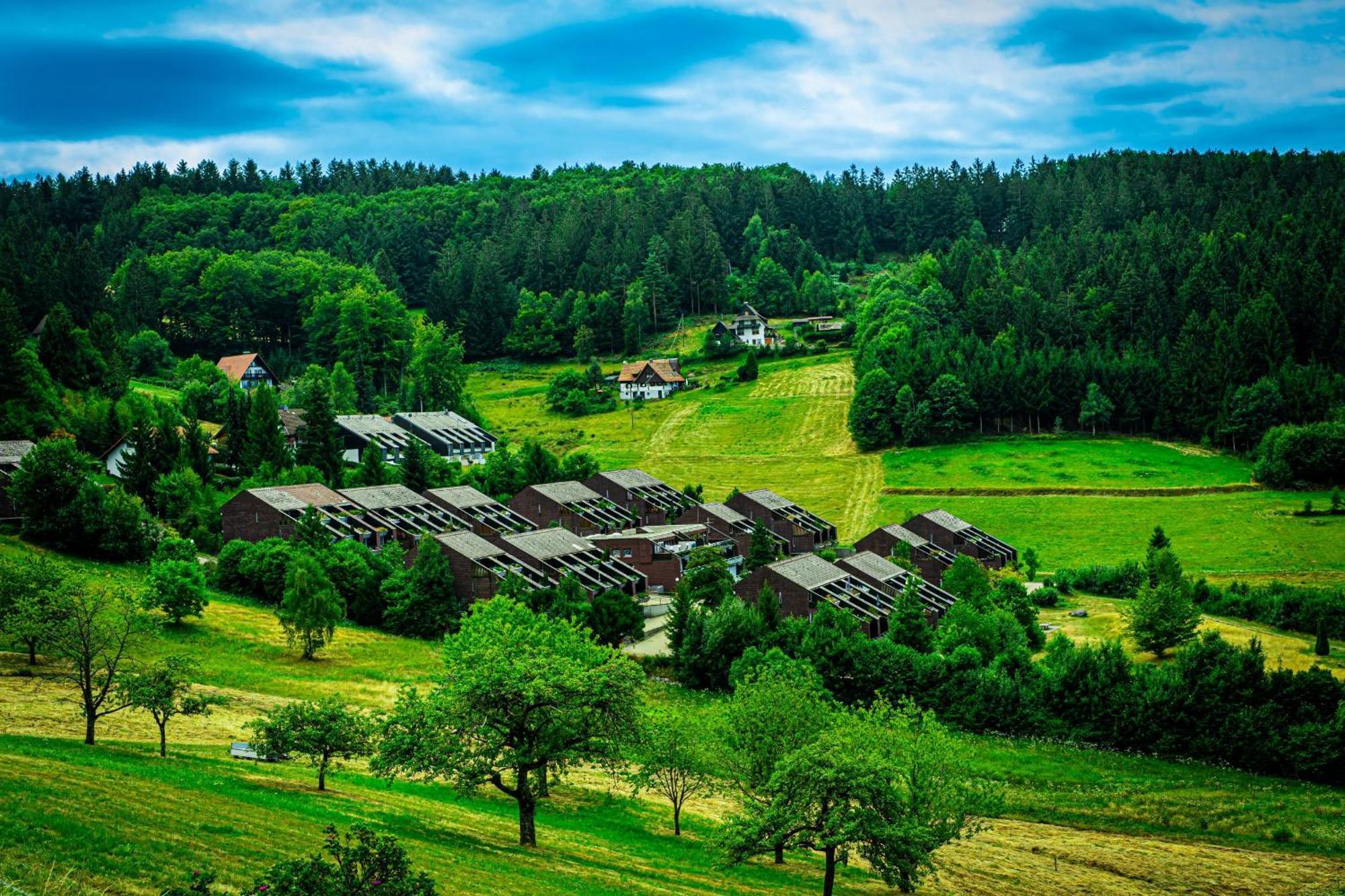 Natur Tanken Im Schwarzwald Sasbachwalden Luaran gambar